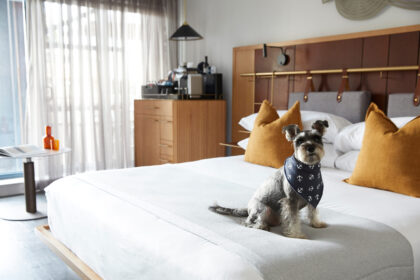 Pet-Friendly Bed and Breakfasts in Louisville, KY