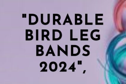 Leg bands for birds