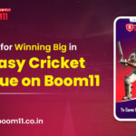 Fantasy Cricket App