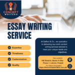 best essay writing service