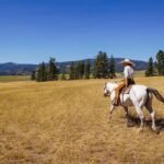 Hearts and Hooves: The Emotional Bond Between Horses and Riders